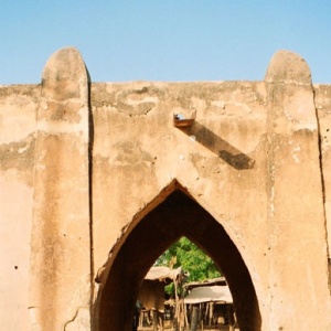 MALI niafunké marchévide