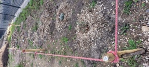 De premières plantations protégées par une corde