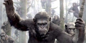 JPEG - 135.9Â&nbsp;ko