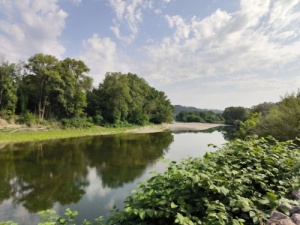 En amont, les dépots de sédiments du Rhône, un enjeu contradictoire, que faut-il en faire ?